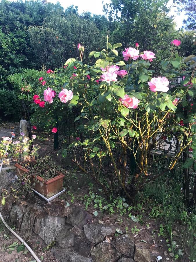 לס איסאמברה Villa Manu B&B Chambre D'Hote מראה חיצוני תמונה
